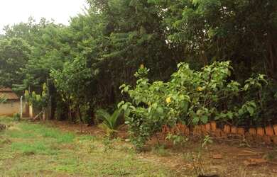 Imagem 6: Chácara Chácara com venda por R$150.000