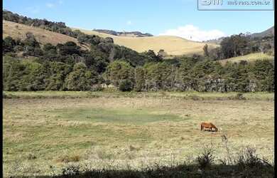Imagem 7: FAZENDA BELISSIMA, VÁRZEA, ESTRUTURA LEITE/HARAS BRASÓPOLIS MG