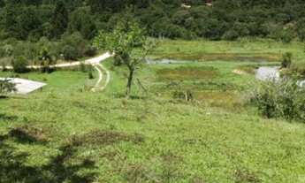 Imagem 6: Chacara Com 22.000 m/2 tanque de peixe