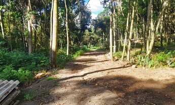 Imagem 2: Chácara à venda em Taquara com uma simples casa e poço!!