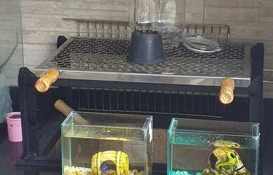 Imagem 4: Belíssimo para venda com 70 metros quadrados com 3 quartos em City Bussocaba - Osasco - SP