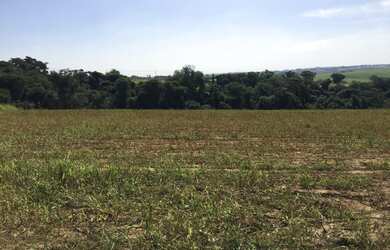 Imagem 6: Porto Feliz-Sp, Sitio 5 Alqueires