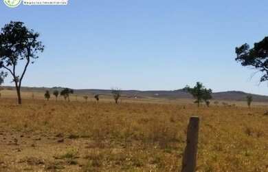 Imagem 7: FAZENDA À VENDA EM DOIS IRMÃOS - TO - 1.069,64 HECTARES (DUPLA APTIDÃO