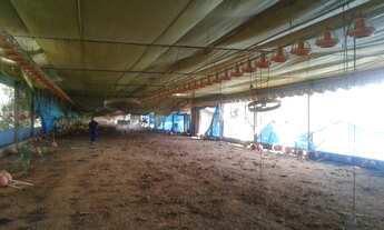 Imagem: Sítio/Granja Morungaba/Tuiuti/SP/BR