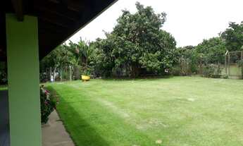 Imagem 7: Videiras de Itaici - Indaiatuba/SP