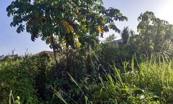 Imagem 2: Excelente Terreno Na Rua Do Loreto