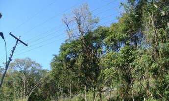 Imagem 5: Terreno no bairro Três Pinheiros em Gramado!