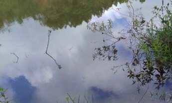 Imagem 7: Terreno 15.5 Hectares em Passa Tempo MG