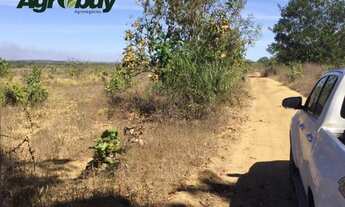 Imagem 4: Fazenda Com 600 Alqueires Localizada em Peixe to