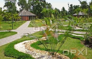 Imagem 6: Rio de Janeiro - Terreno Padrão - Santa Cruz