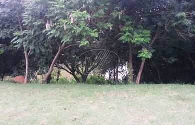 Imagem 7: Terreno - Joaquim Egídio - Campinas