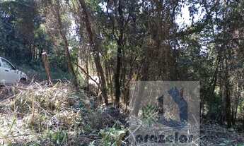 Imagem 7: ** Lindo terreno **