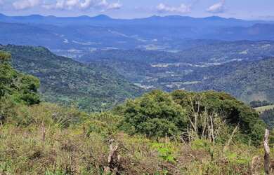 Imagem 6: Fazenda/Sítio/Chácara/Francisco Krtiscka Corretor de Imóveis