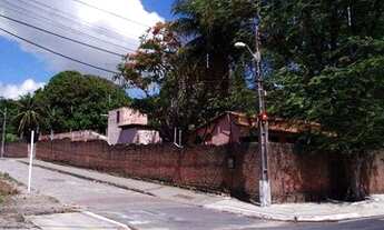 Imagem 6: Loteamento Granja Icarai