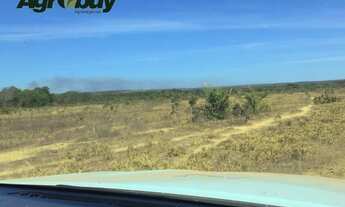 Imagem: Fazenda Com 600 Alqueires Localizada em