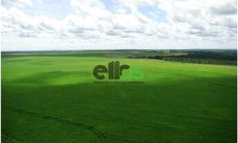 Imagem: Fazenda Dupla Aptidão - AGRICULTURA (LAVOURA/GRÃOS/SOJA)