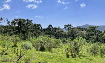 Imagem 3: Chácara em Urubici