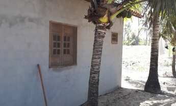 Imagem 5: Coruripe - Terreno Padrão - Centro