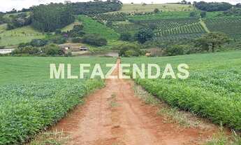 Imagem: Fazenda em Turvelândia MG