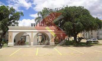 Imagem 2: CANOAS - Padrão - Mato Grande