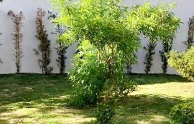 Imagem 4: Casa com 3 dormitórios à venda, 237 m² por R$ 1.600.000,00 - Vila Santista - Atibaia/SP