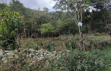 Imagem 5: MULUNGU-terrenos a partir de 1000m2 próx ao fórum