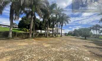 Imagem 7: Sul de Minas Centenária com 70 alqs Dupla Aptidão