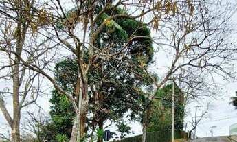 Imagem 3: Terreno de esquina em localização privilegiada no Bairro Bom Clima. Todo murado, com edícu