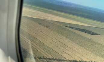 Imagem 2: FAZENDA DE SOJA EM BALSAS 44.000 HECTARES
