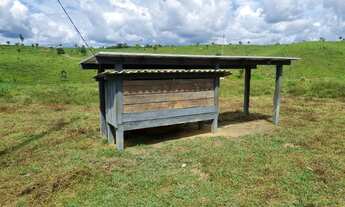 Imagem 5: Fazenda para venda tem 260 alqueires para pecuária Centro - Pacajá - PA