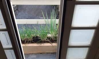 Imagem 7: Florianópolis - Casa Padrão - Canto da Lagoa