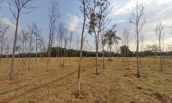 Imagem 2: Chácara para venda, exelente para incorporação, com 55875m² próximo ao Campus da UFG - Goi