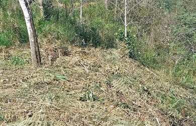 Imagem 4: TERRENO 1988M² TOPOGR VARIADAS E SUAVE, CABE QQR PROJETO, 3KM DO ASFALTO, 15 MIN DO CENTRO