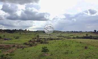 Imagem 5: Theobroma - Sítio - 6 alqueires theobroma