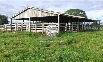 Imagem 2: Alto Paraíso - Sítio - 42 alqueires