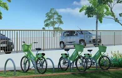 Imagem 3: Parque Amarilis - Orquídeas - Santa Barbara D'oeste