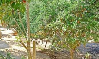 Imagem 7: Chácara para Venda em São Miguel Arcanjo, Pocinho, 3 dormitórios, 1 suíte, 20 vagas