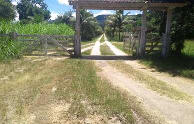 Imagem 4: Fazenda (altamente produtiva) - Silva Jardim