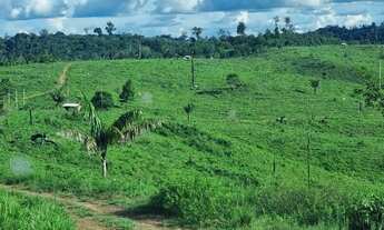 Imagem 3: Fazenda para venda tem 260 alqueires para pecuária Centro - Pacajá - PA