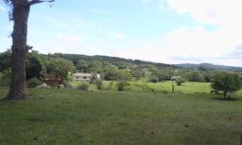 Imagem 4: Porto Alegre - Terreno Padrão - Lageado