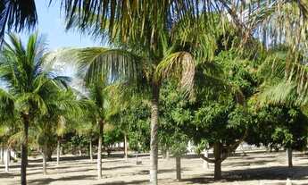 Imagem 7: Vendo Belíssima Casa de Campo em São Jose de Mipibu RN