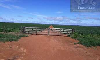 Imagem 3: Fazenda em Porangatu GO - 501 alqs (2.424,84 Ha
