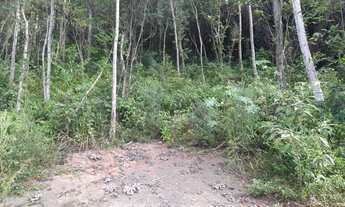 Imagem 4: Chácara de 1 hectare com vertentes pir apenas $$49.900, localizada em Taquara RS!!!