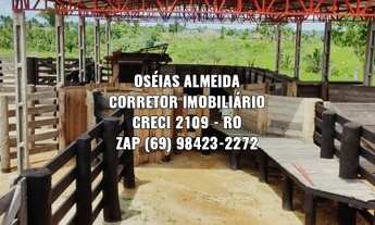 Imagem: 110 Alqueires Machadinho-RO