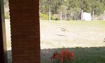 Imagem 6: Sitio em Joaquim Egidio