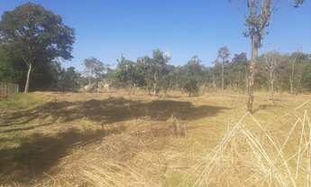 Imagem: Fazenda/Sítio/Chácara para venda tem 4000