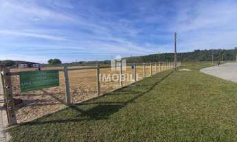 Imagem 7: BARRA DE SãO MIGUEL - Terreno Padrão - Zona rural