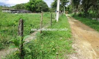 Imagem 4: Terreno excelente para montar seu sítio (Escritura e RGI