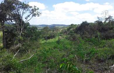 Imagem 6: SITIO RURAL em DESTERRO DE ENTRE RIOS - MG, CENTRO
