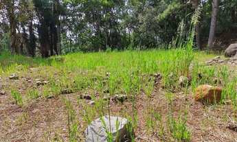 Imagem 5: Terreno, 988 m², à venda por R$ 390.000 Vale das Colinas - Gramado/RS